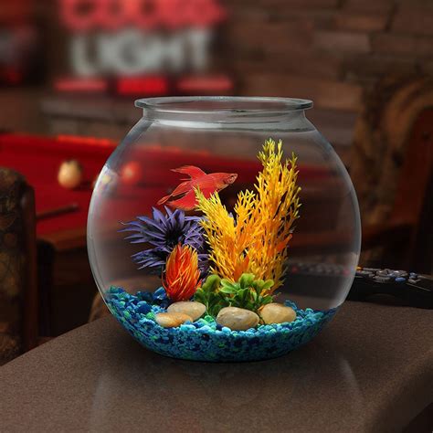 Transform Your Living Space with a Magical Lights Fish Bowl